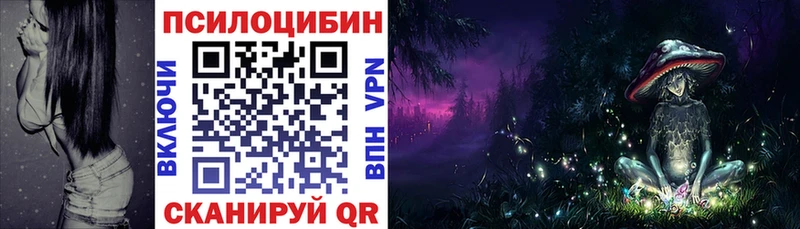 kraken рабочий сайт  Камбарка  Галлюциногенные грибы ЛСД 